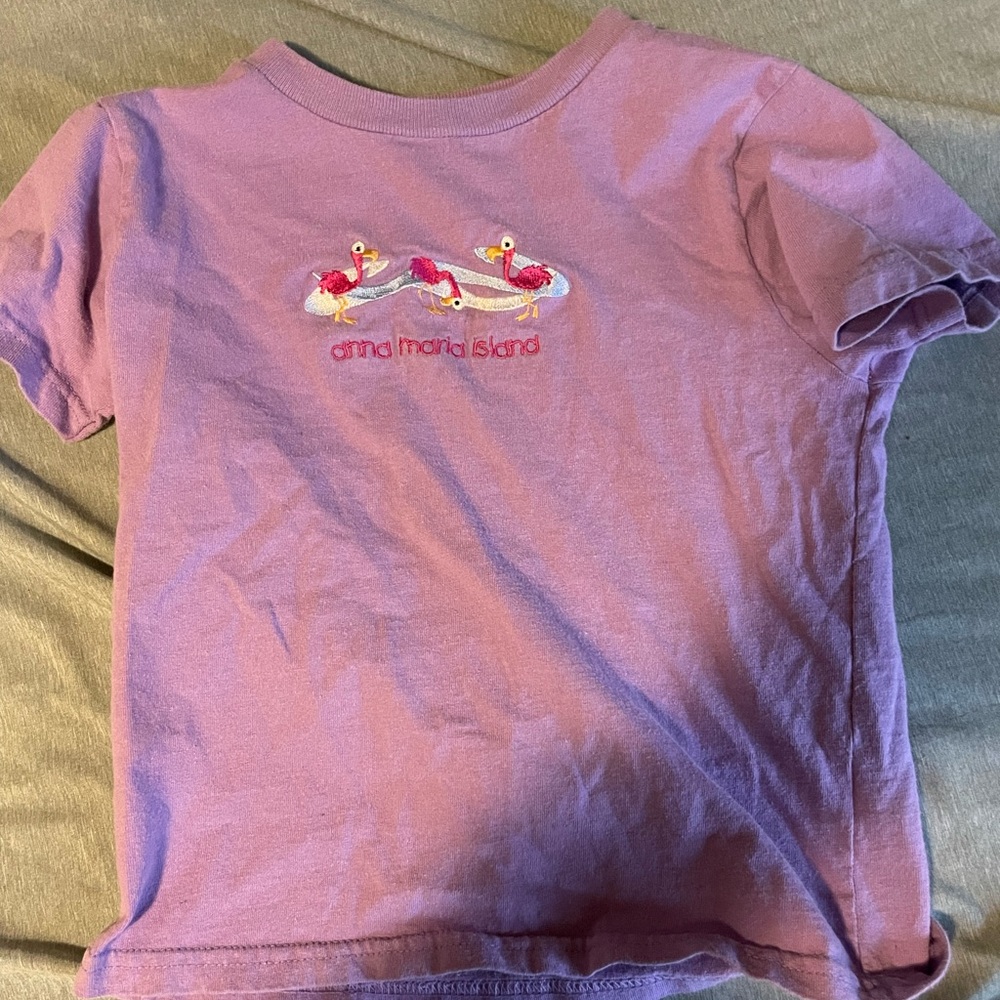 Super cute anna maria island embroidered crop